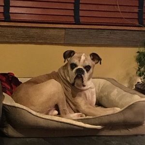 Meet your Posher, Denise